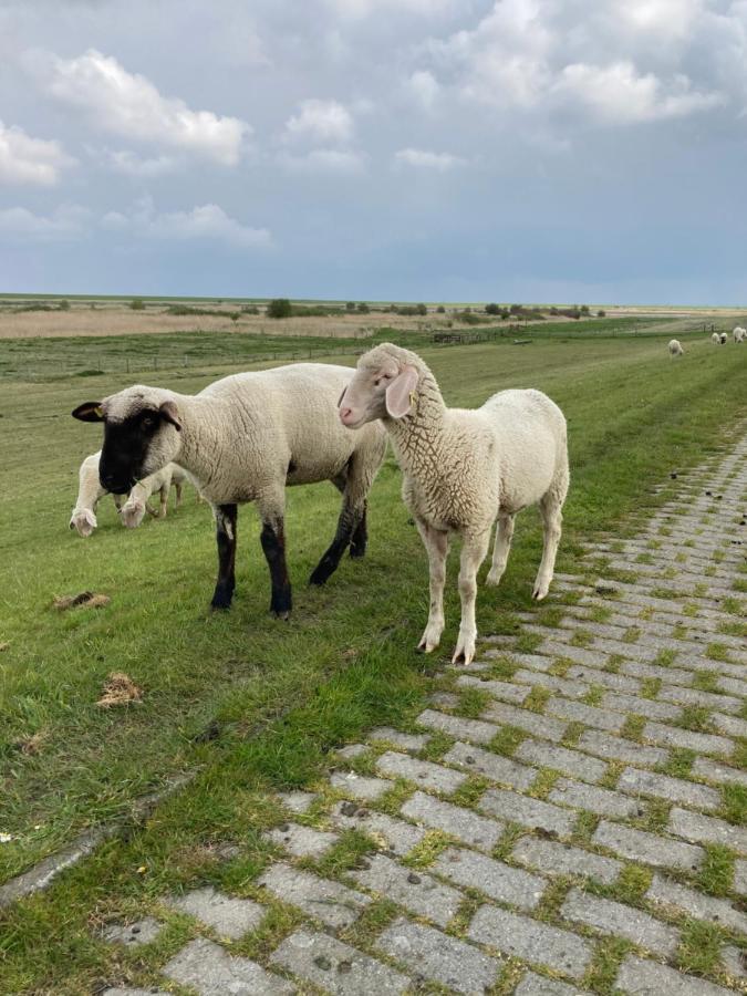 Ferienhaus Heimathafen Neßmersiel Eksteriør bilde